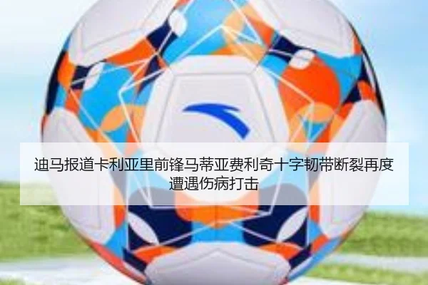 迪马报道卡利亚里前锋马蒂亚费利奇十字韧带断裂再度遭遇伤病打击 | OUBAO